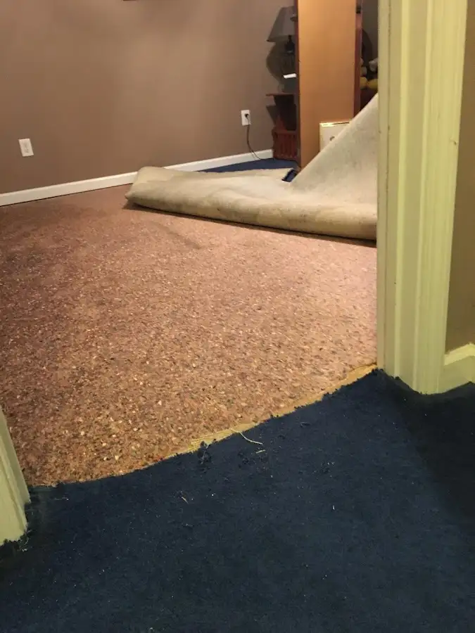 Carpet pad removal revealing water damage during Water Mitigation Services in Babylon