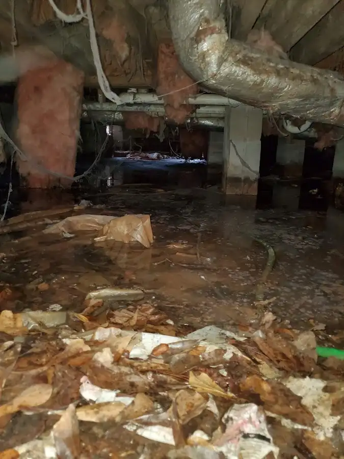 Crawl space flood assessment for Leak Detection & Repair in Babylon